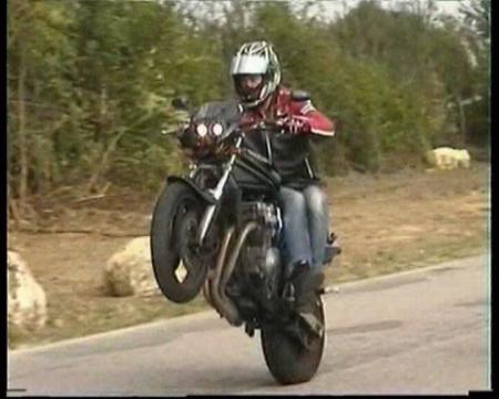 BANDIT 600